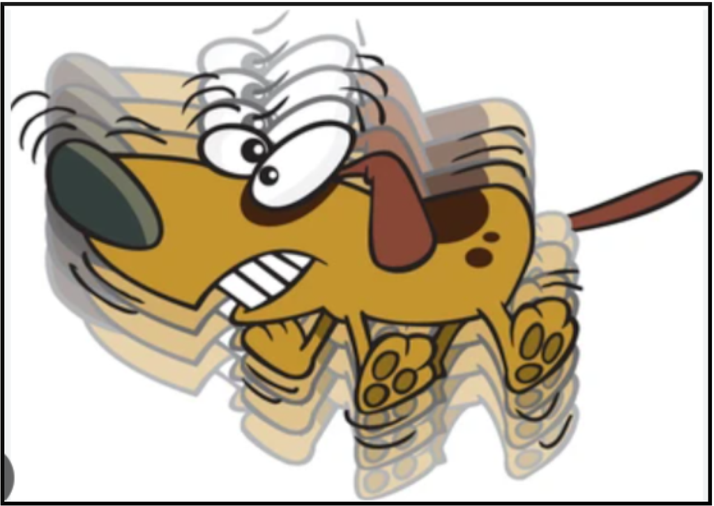 Tail (IT) wagging the dog (WLU Retirees)